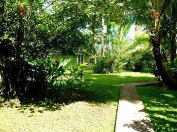 Teahupoo Bonjouir Lodge Paradise المظهر الخارجي الصورة